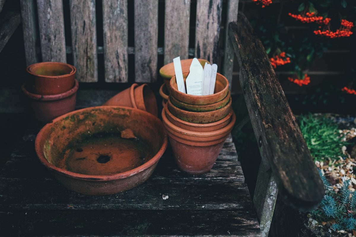 Terracotta plant pots ready for planting