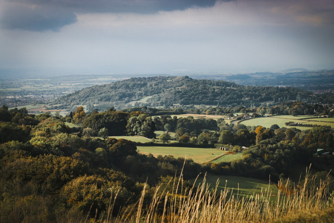 A valley view with trees in the foreground
