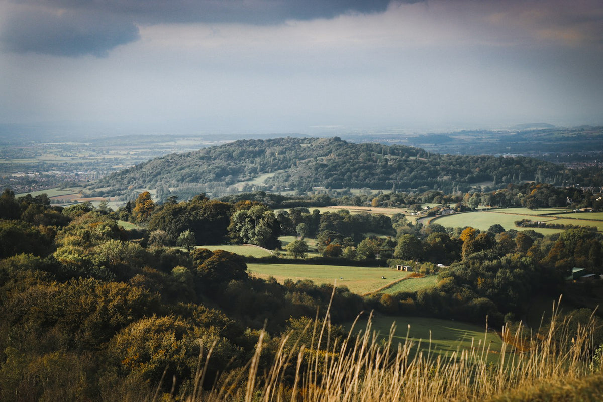 A valley view with trees in the foreground