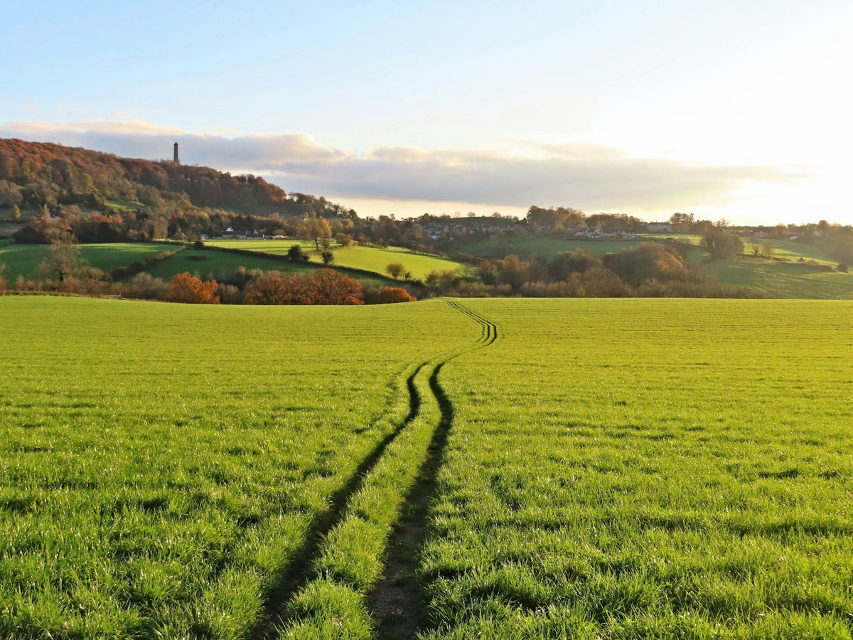 A path across green fields on the Cotswold Way