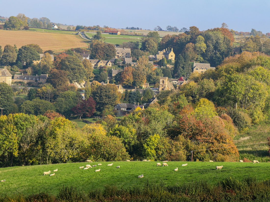 Sheep grazing in a green field above a village