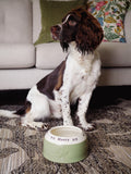 Springer Spaniel Ear-Free Dog Bowl
