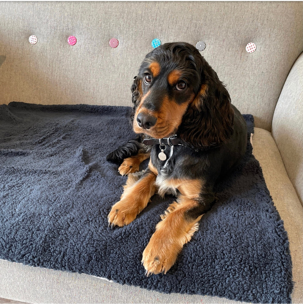 Handmade Sherpa Fleece Dog Blanket