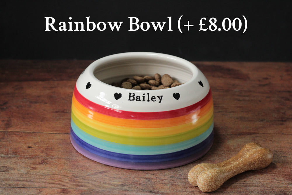 Springer Spaniel Ear-Free Dog Bowl, image 8