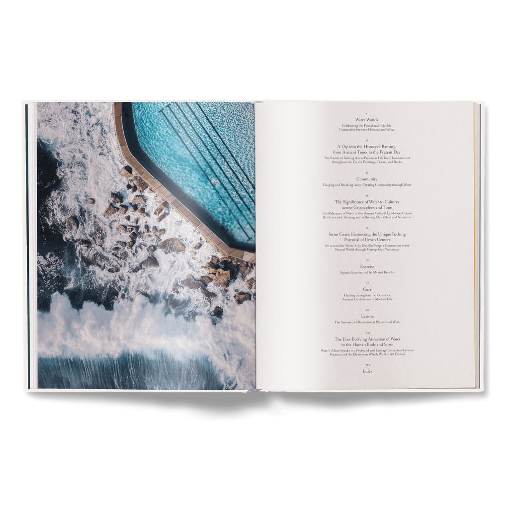 The Nature of Swimming, Updated Edition