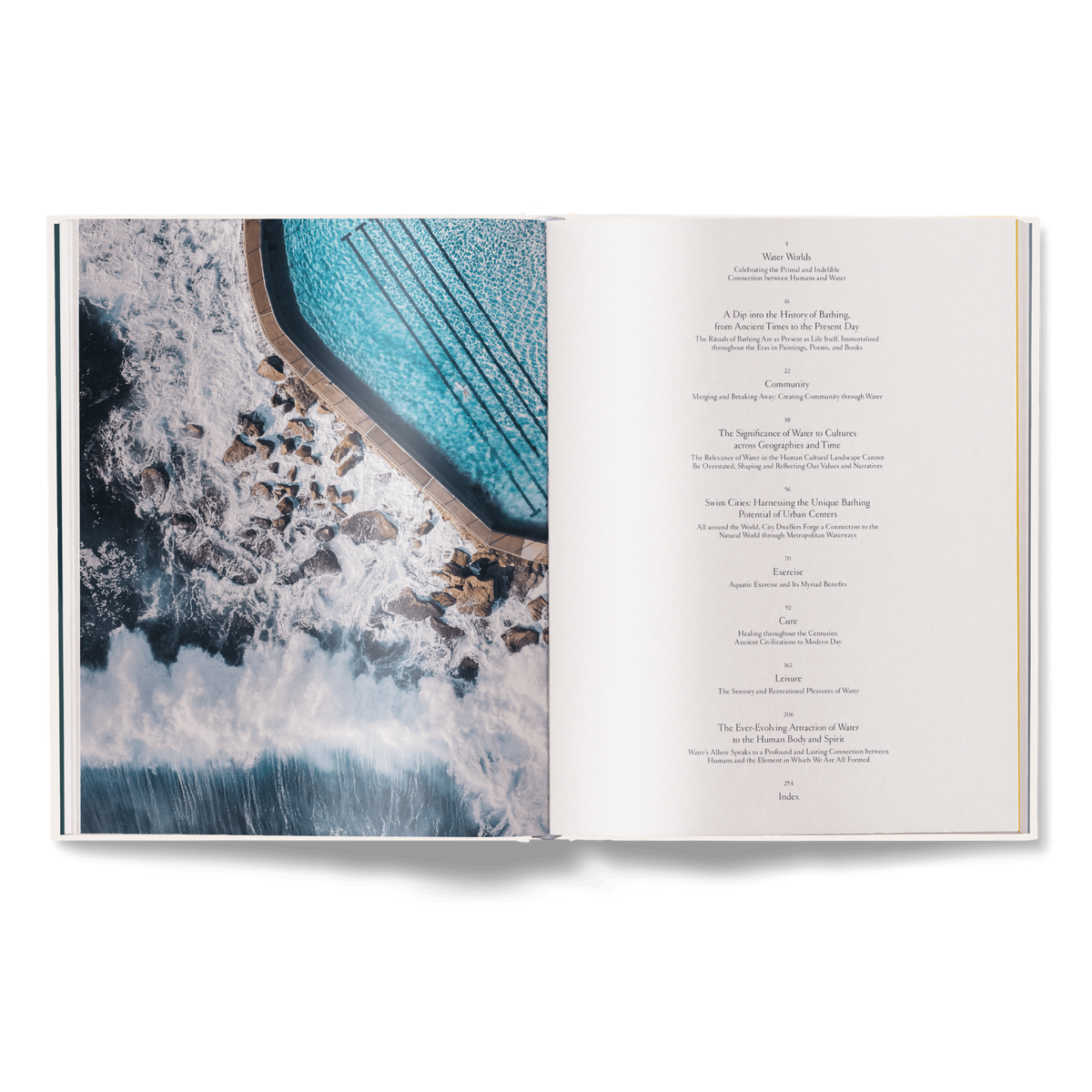 The Nature of Swimming, Updated Edition