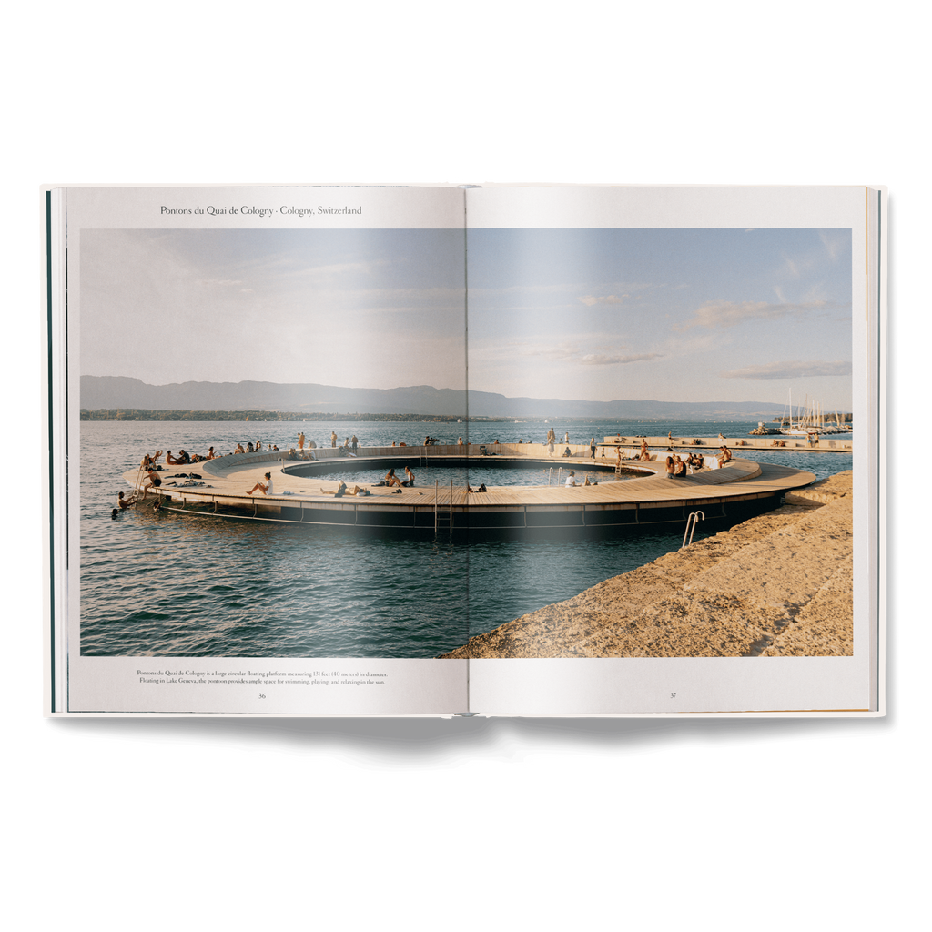 The Nature of Swimming, Updated Edition