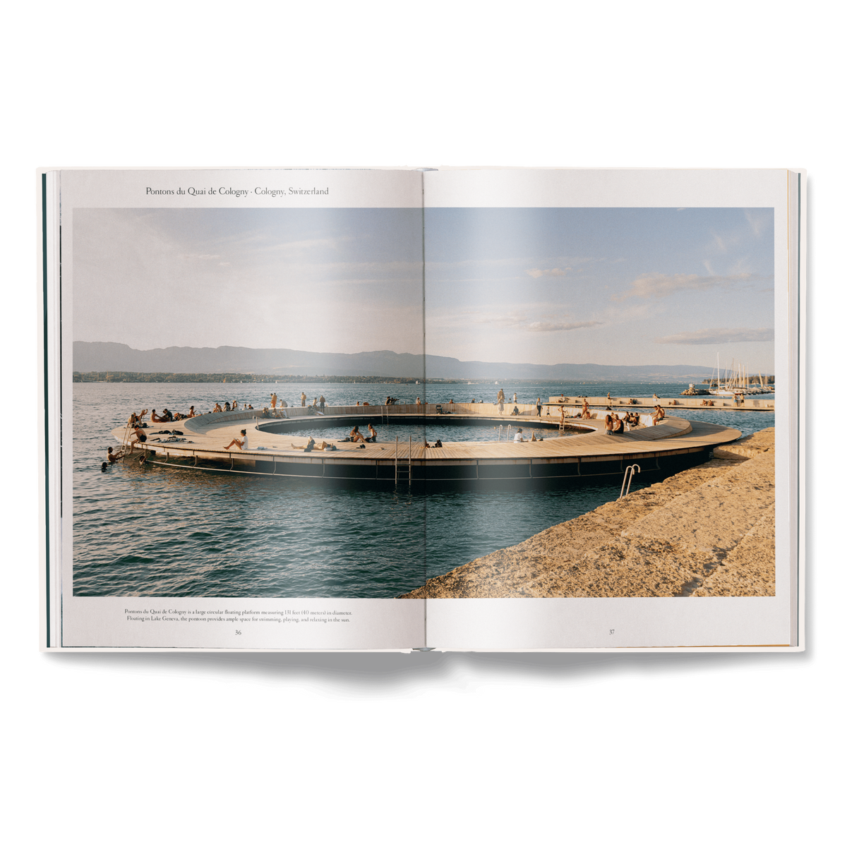 The Nature of Swimming, Updated Edition