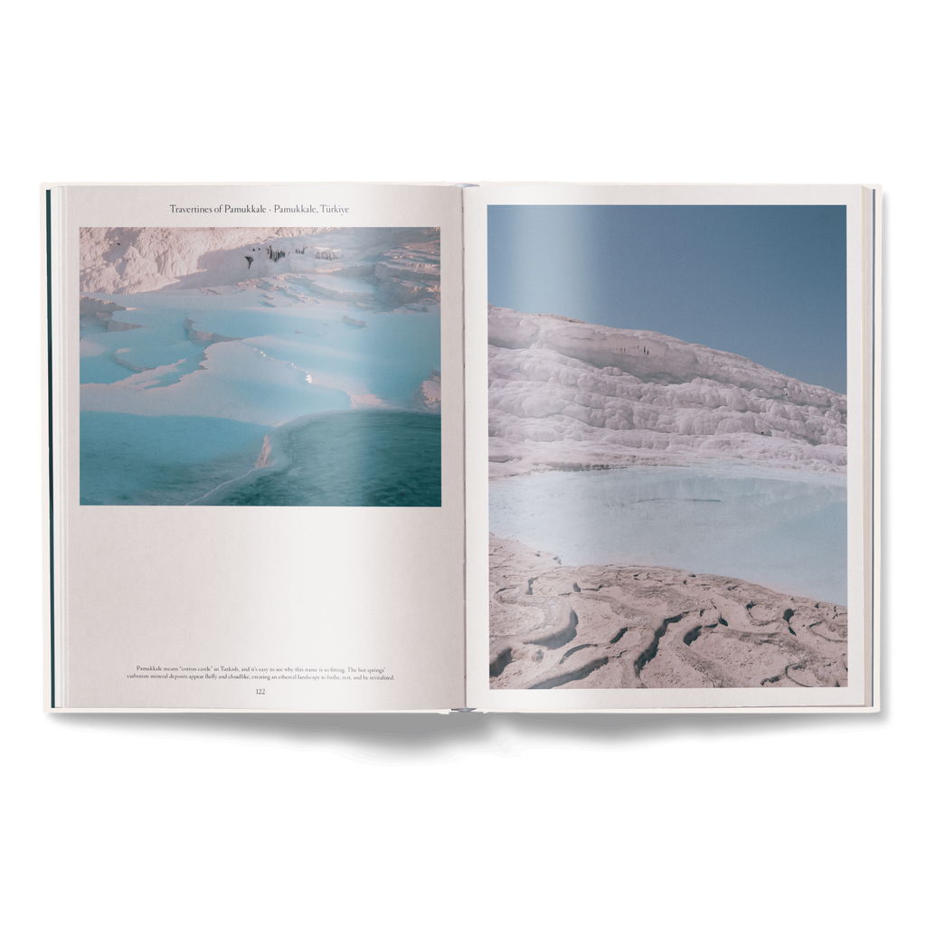 The Nature of Swimming, Updated Edition