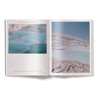 The Nature of Swimming, Updated Edition