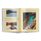 The Nature of Swimming, Updated Edition