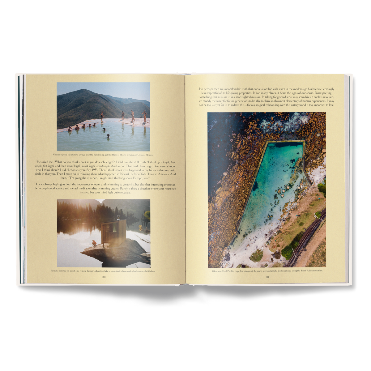 The Nature of Swimming, Updated Edition