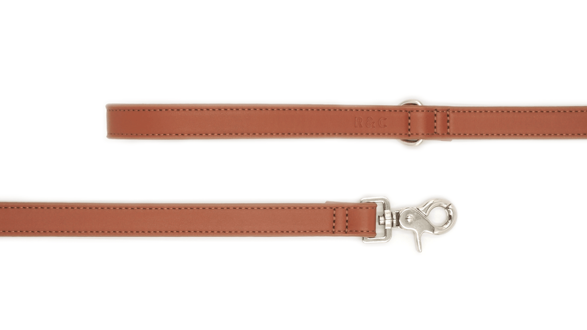 Brown vegan dog lead, view 3