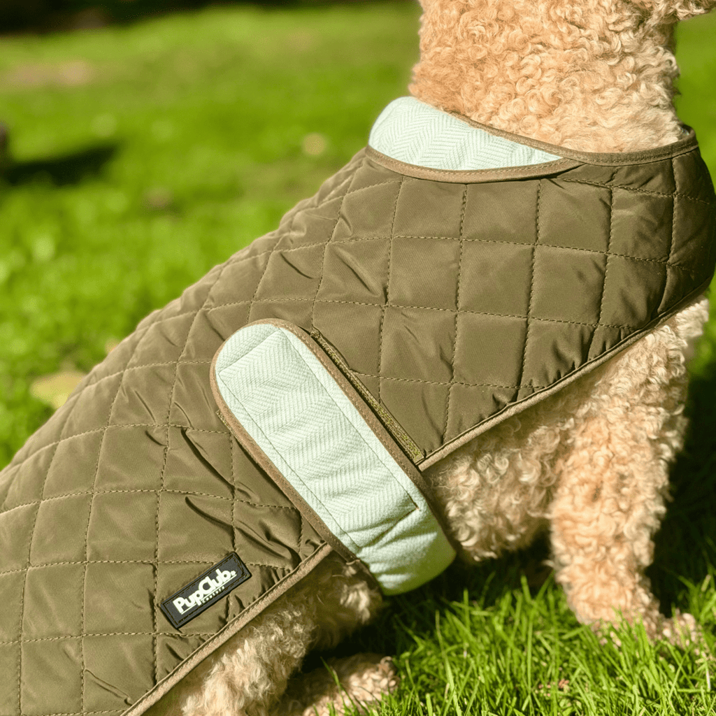 Quilted Dog Coat, Khaki Tweed