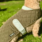 Quilted Dog Coat, Khaki Tweed