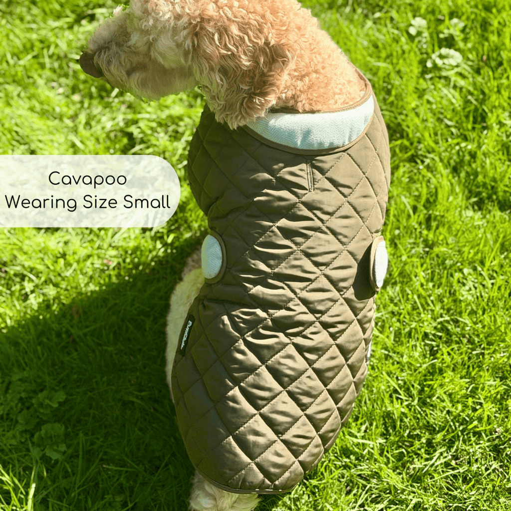 Quilted Dog Coat, Khaki Tweed