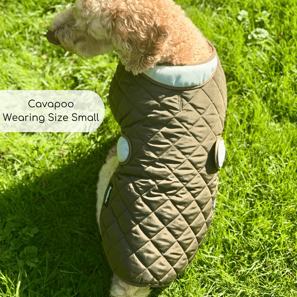 Quilted Dog Coat, Khaki Tweed