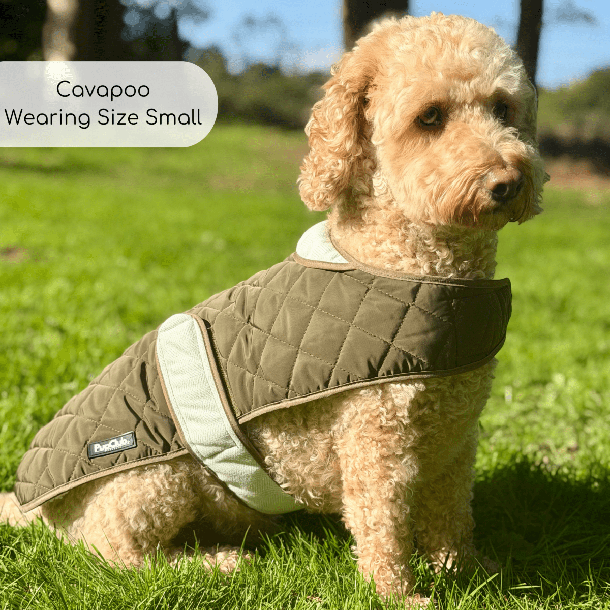 Quilted Dog Coat, Khaki Tweed
