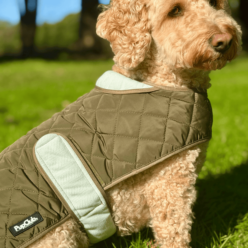 Quilted Dog Coat, Khaki Tweed
