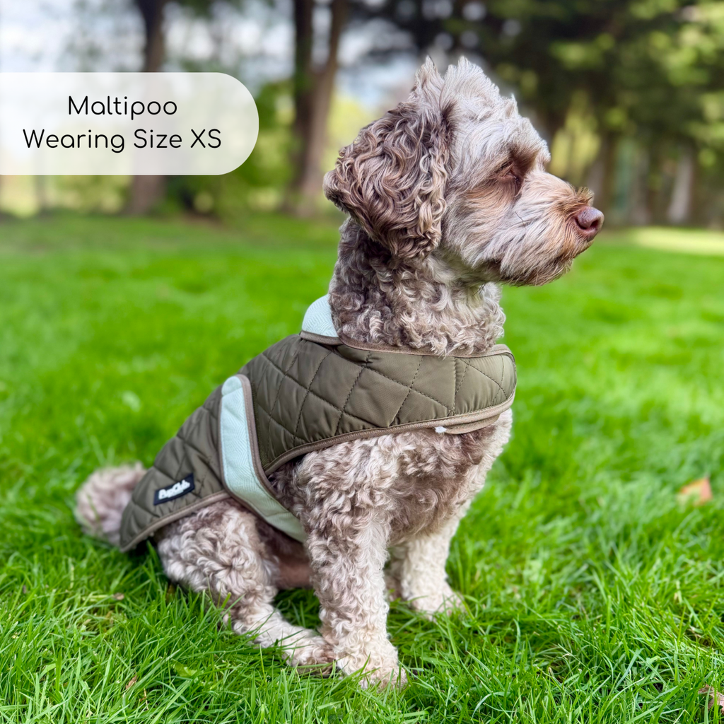 Quilted Dog Coat, Khaki Tweed