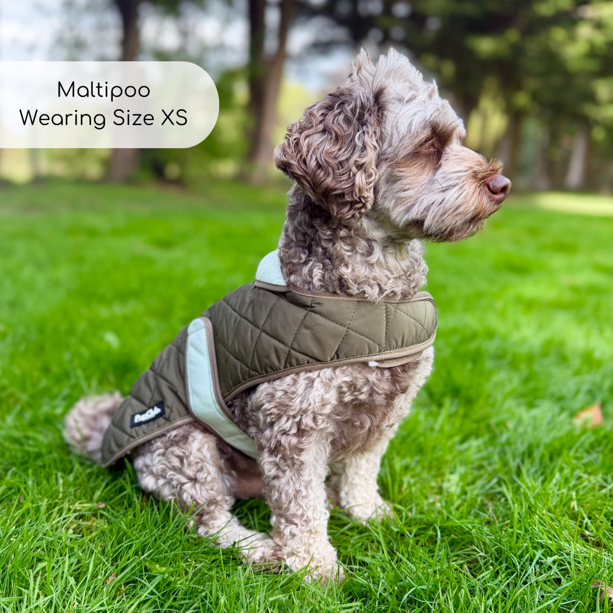 Quilted Dog Coat, Khaki Tweed