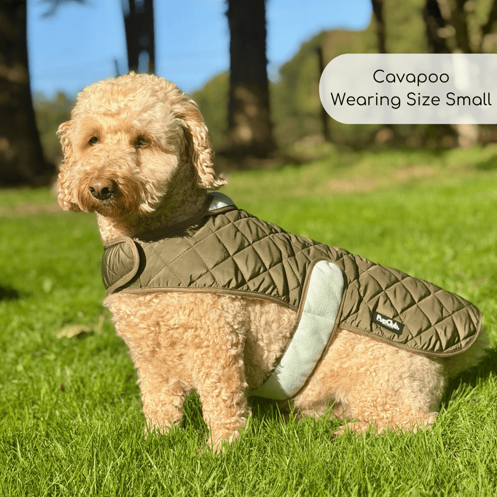 Quilted Dog Coat, Khaki Tweed