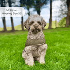Quilted Dog Coat, Khaki Tweed