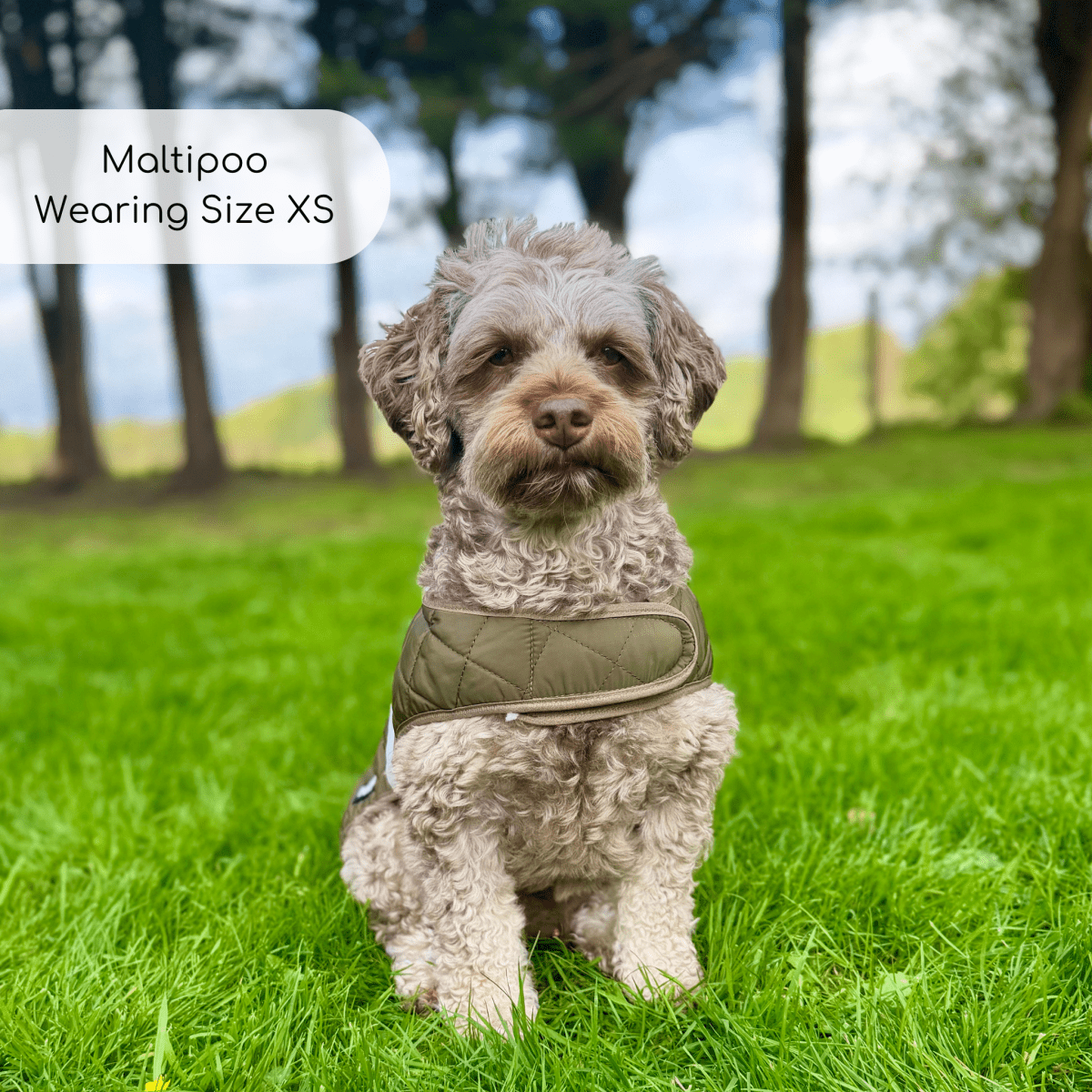 Quilted Dog Coat, Khaki Tweed