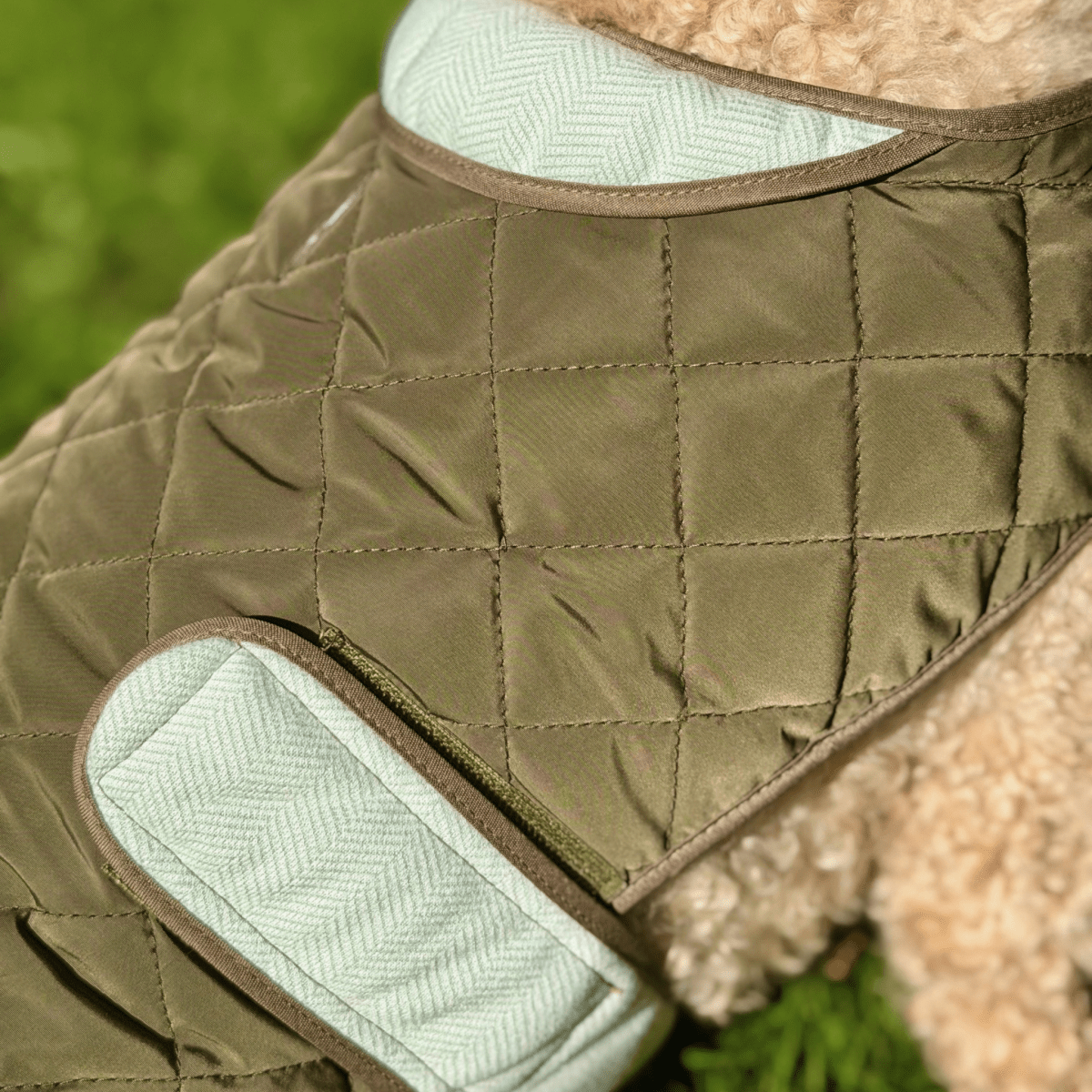 Quilted Dog Coat, Khaki Tweed