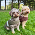 Quilted Dog Coat, Khaki Tweed