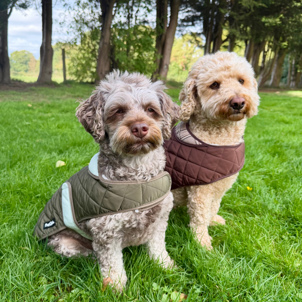 Quilted Dog Coat, Khaki Tweed