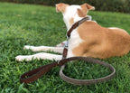 The Lincoln Tweed & Leather Dog Lead, view 2