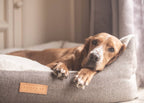 The Lincoln Tweed Bolster Dog Bed