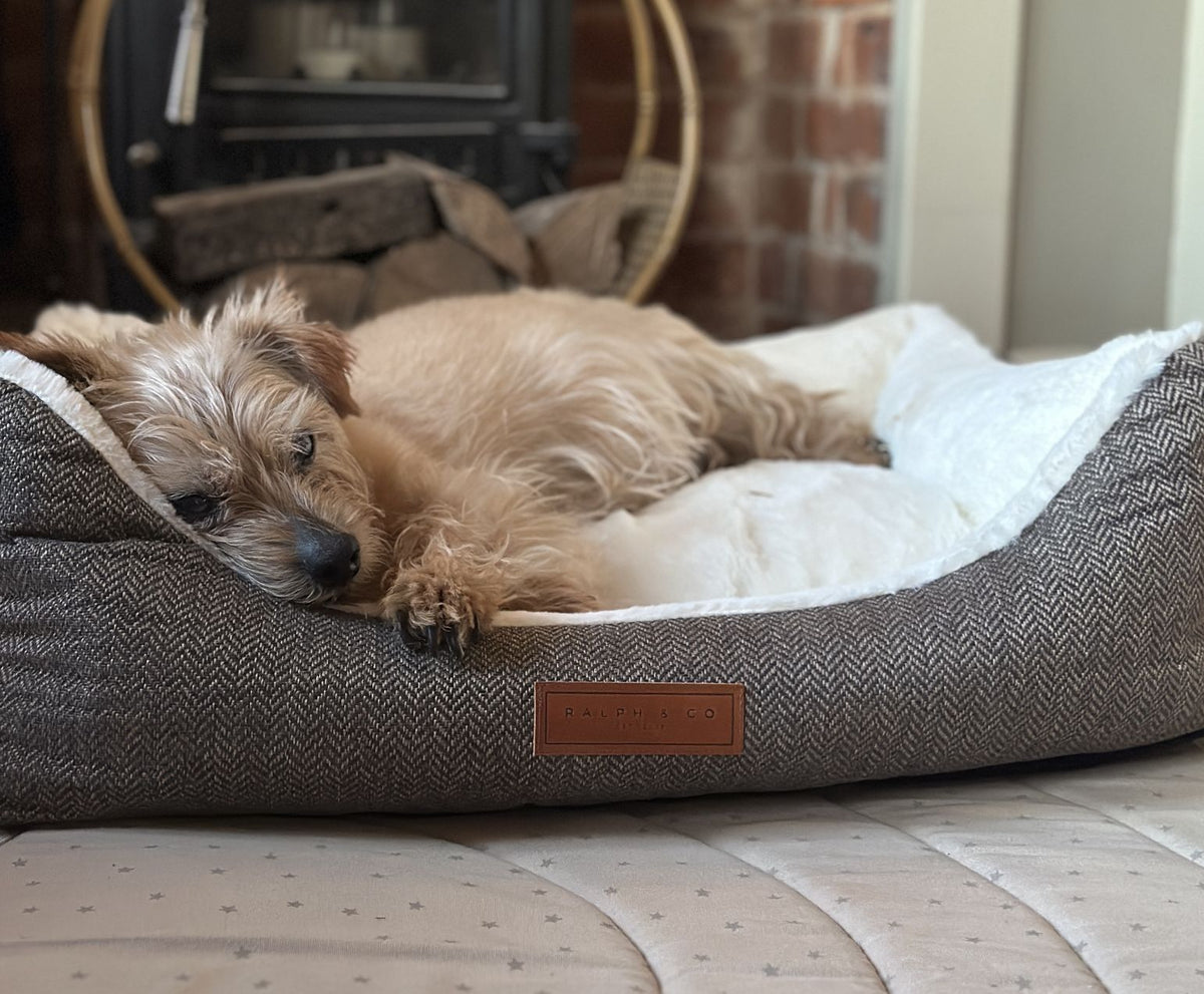 The Lincoln Tweed Bolster Dog Bed