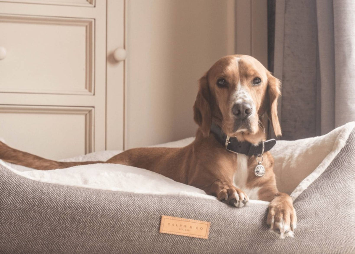 Lincoln herringbone tweed bolster dog bed, view 2