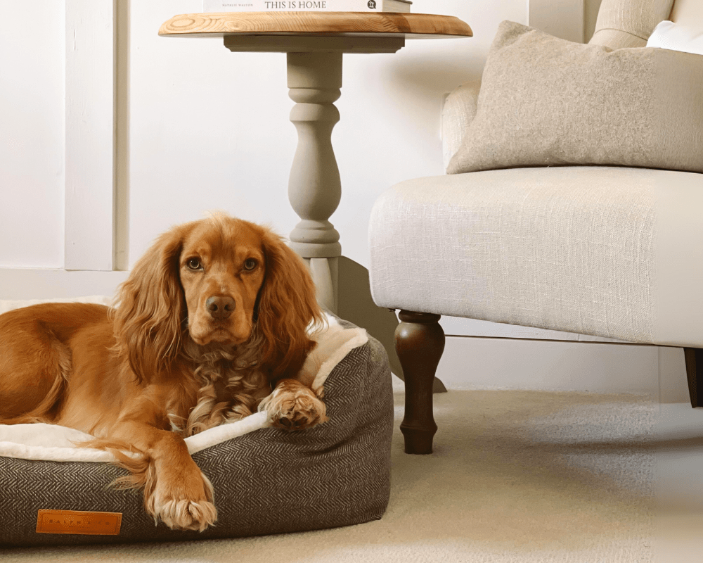 Lincoln herringbone tweed bolster dog bed, view 7