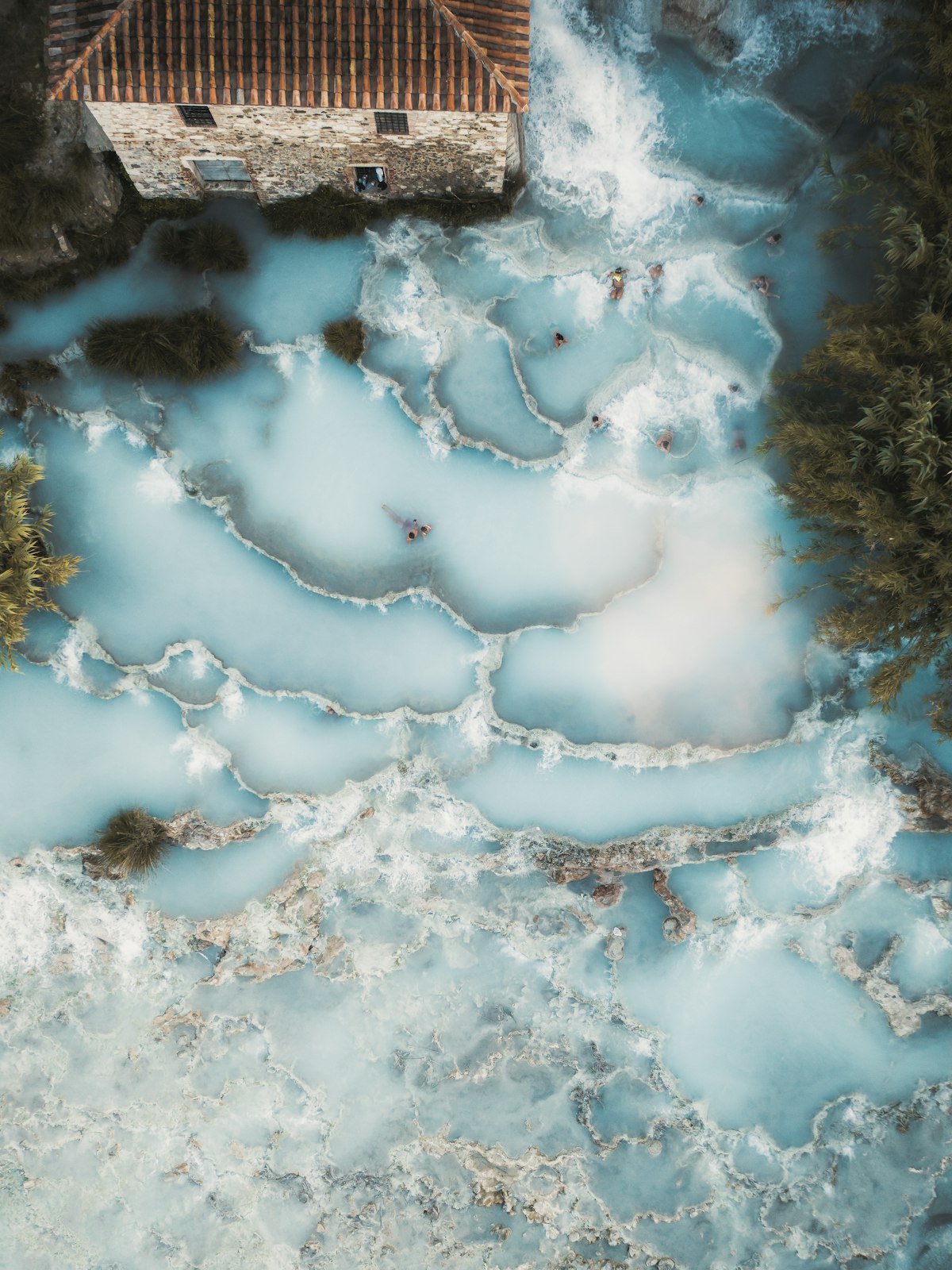 The Nature of Swimming, Updated Edition