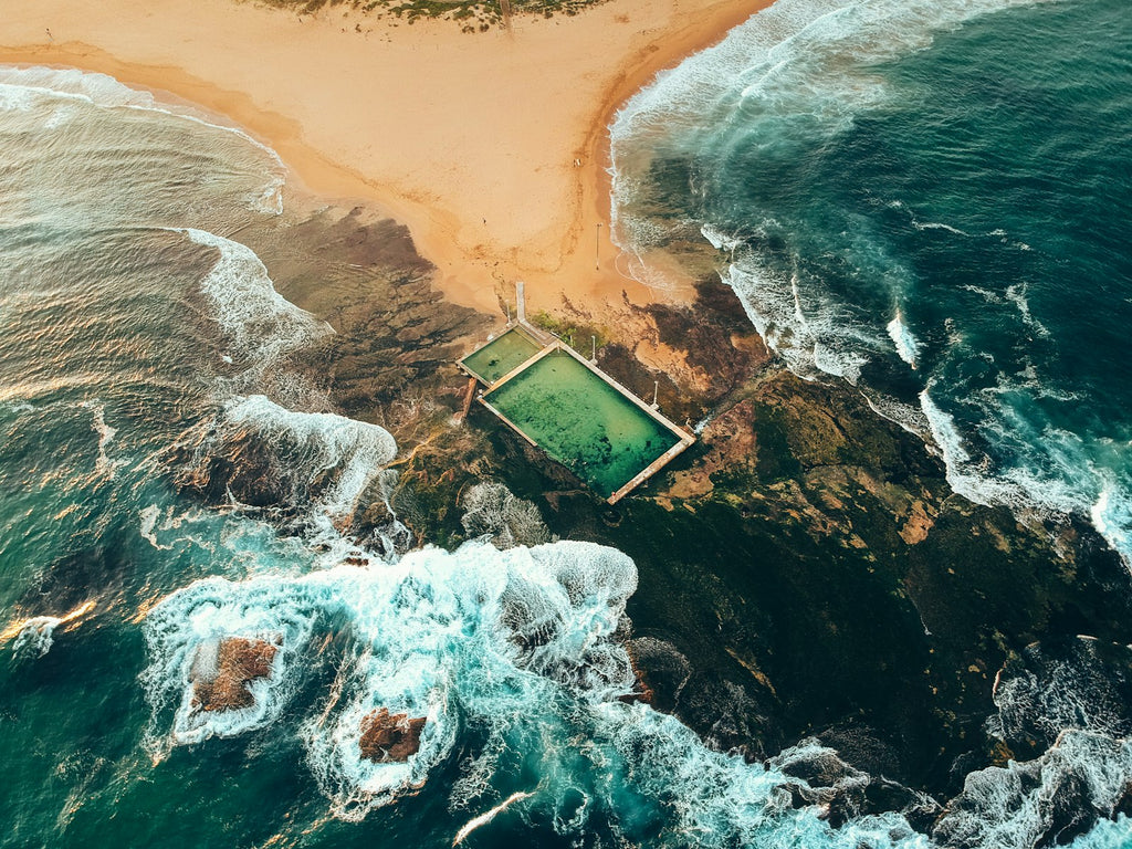 The Nature of Swimming, Updated Edition