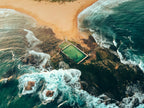 The Nature of Swimming, Updated Edition