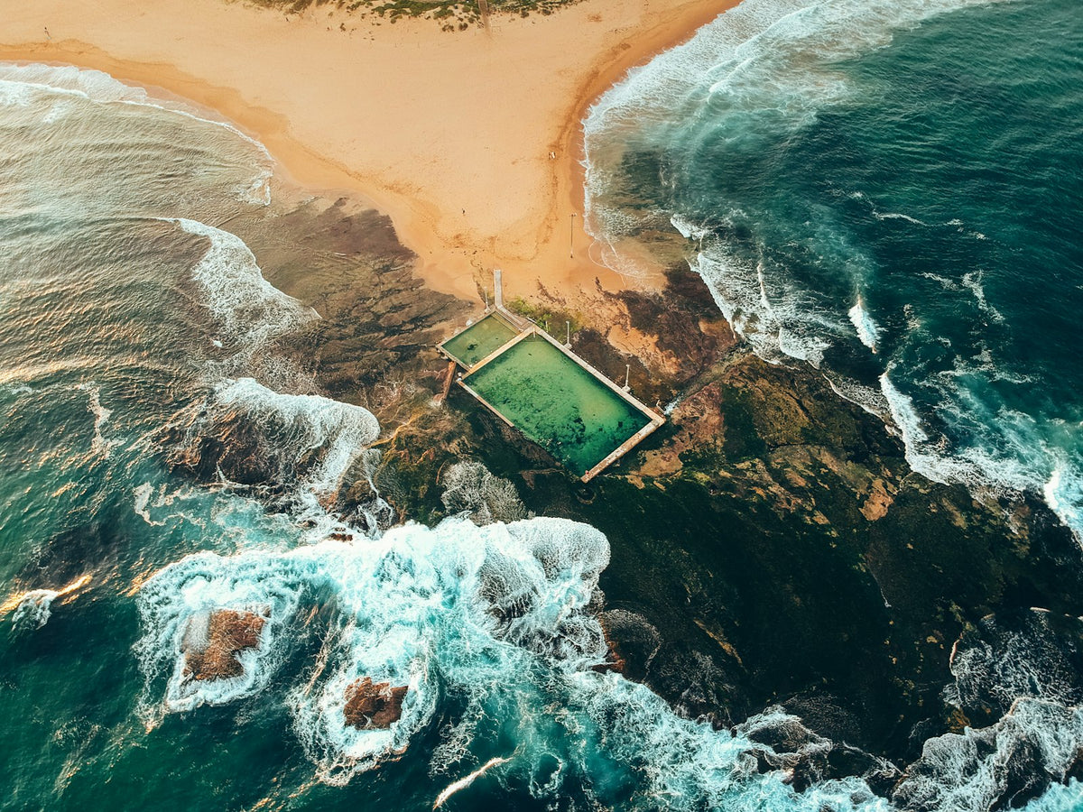 The Nature of Swimming, Updated Edition
