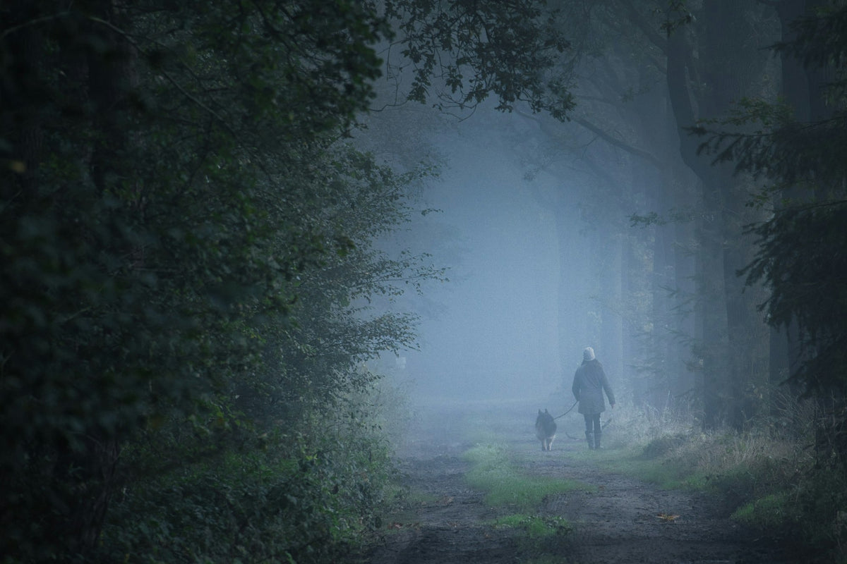 A person walking a dog on a foggy trail