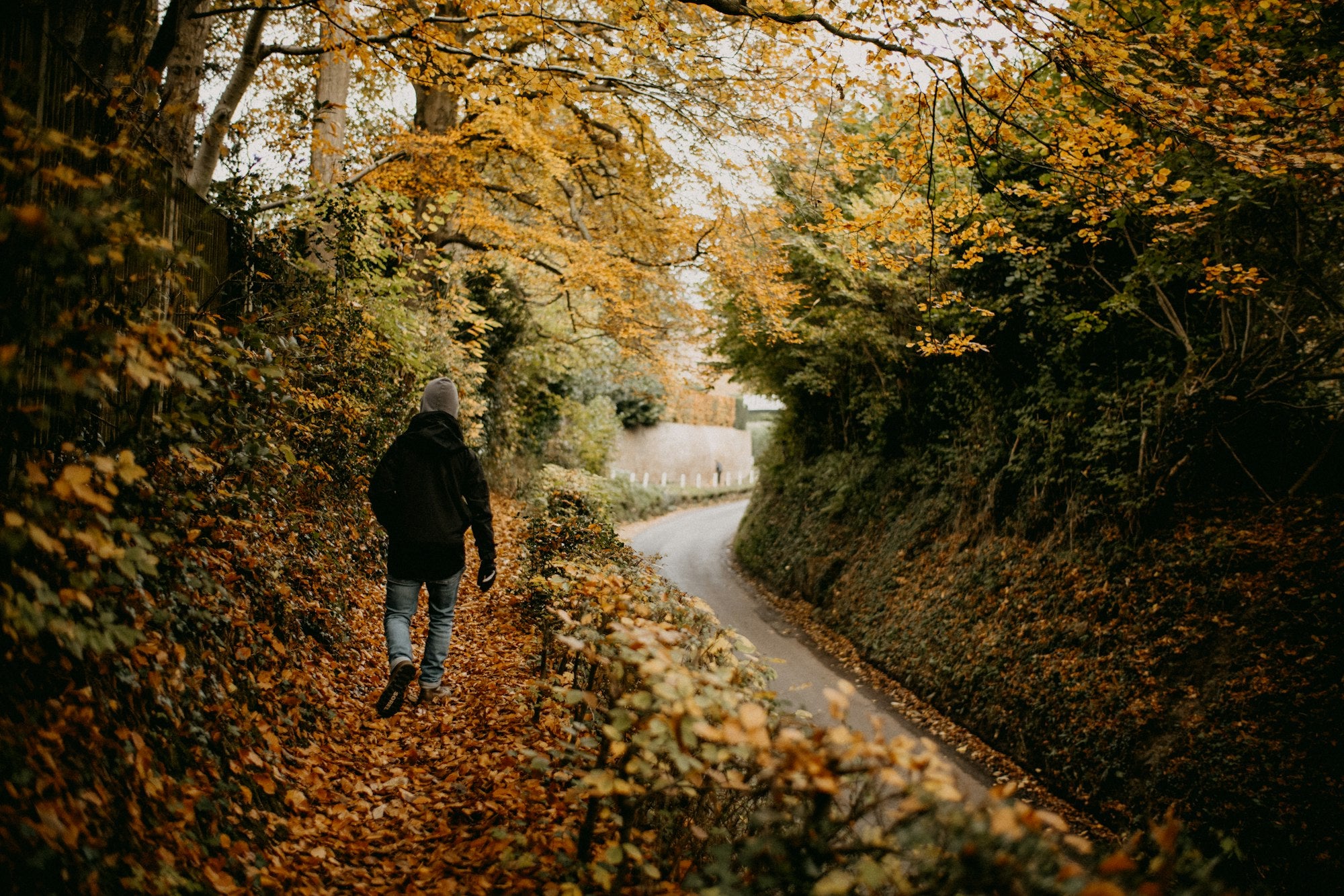 A country road covered in autumn leaves