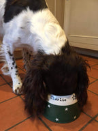 Springer Spaniel Ear-Free Dog Bowl, view 3