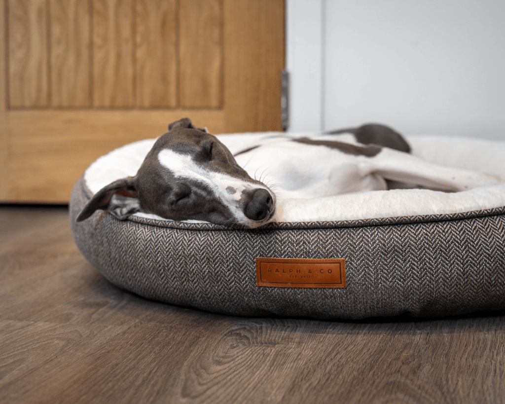 The Lincoln Tweed Donut Dog Bed