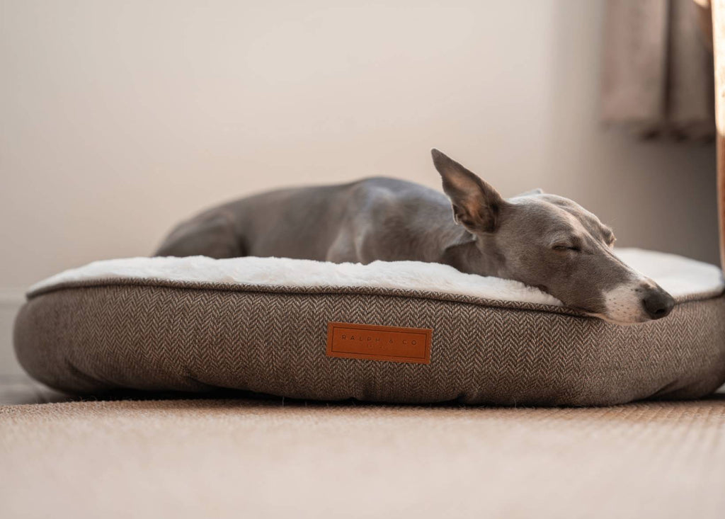 Lincoln herringbone tweed donut dog bed, view 2