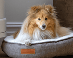 Lincoln herringbone tweed donut dog bed, view 7