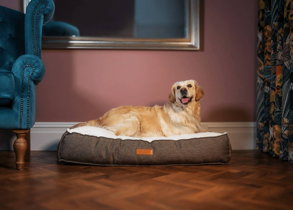 Lincoln brown herringbone tweed pillow dog bed, view 2