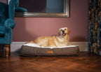 Lincoln brown herringbone tweed pillow dog bed, view 2