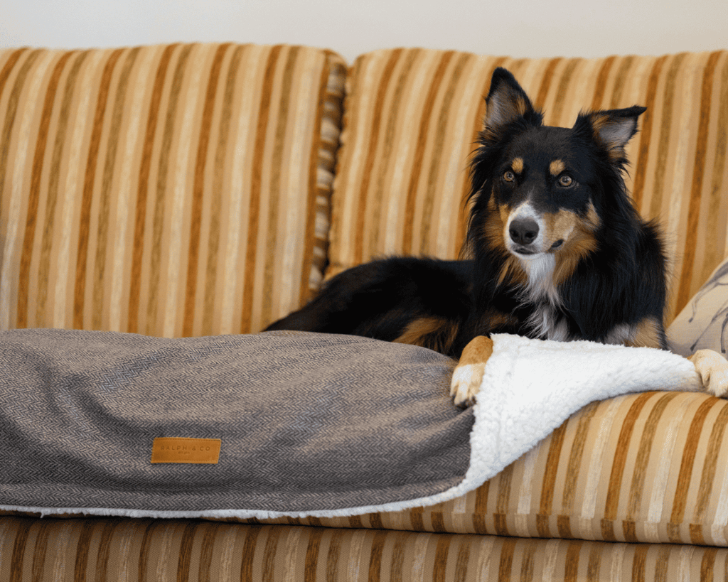 Lincoln brown herringbone tweed pillow dog bed, view 8