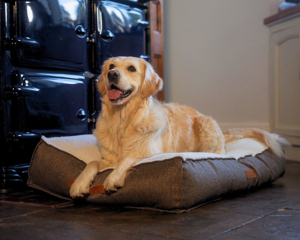 Lincoln brown herringbone tweed pillow dog bed, view 6